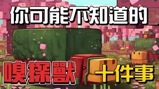 麥塊 羅盤|你可能不知道的羅盤的10件事!!!【秋風麥塊學】